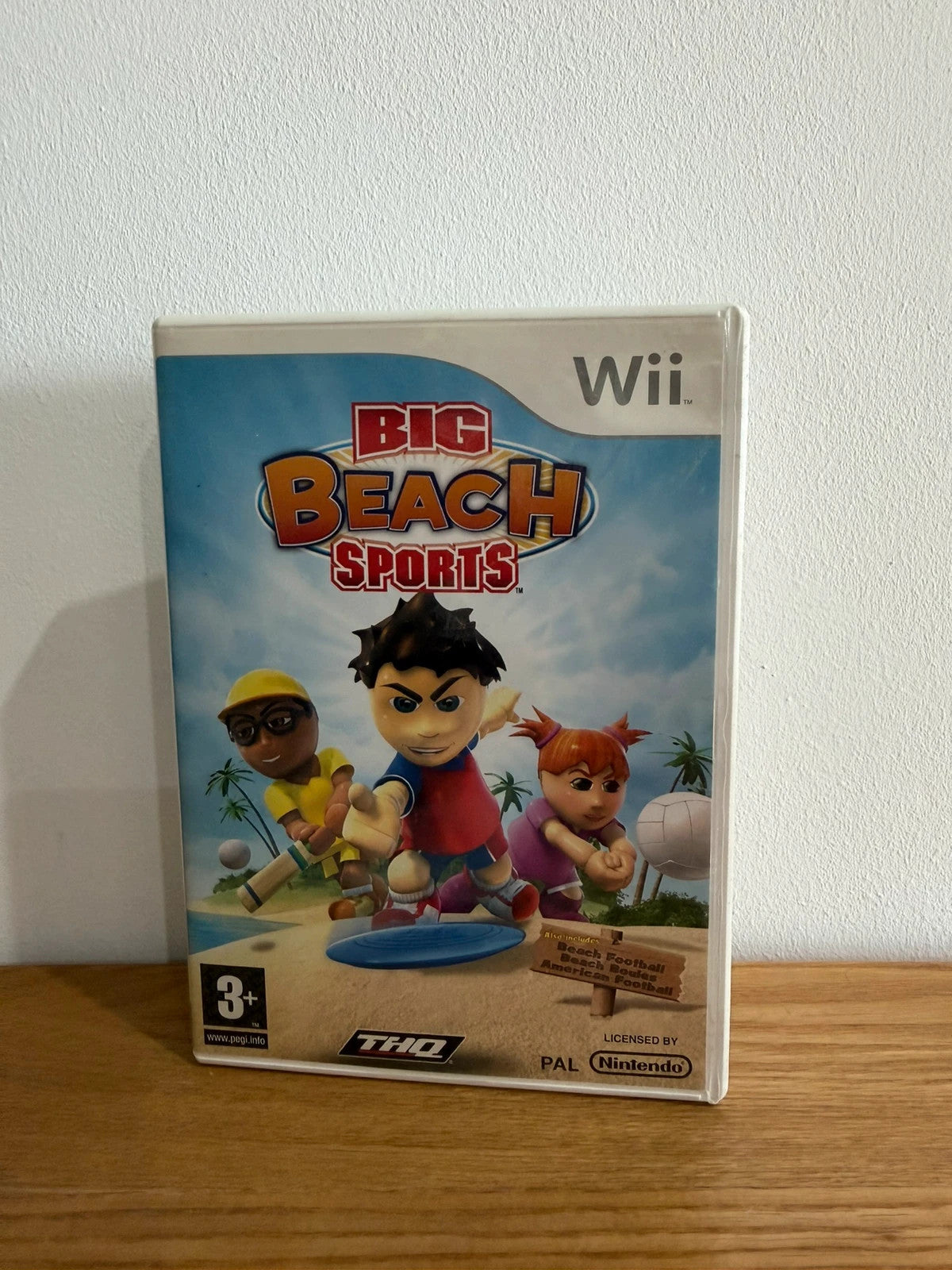 Big Beach Sports Nintendo Wii game complete with manual and original case.